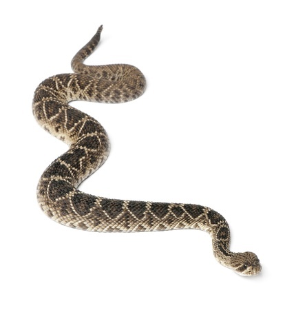 danger rope