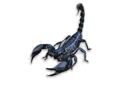 The Scorpions